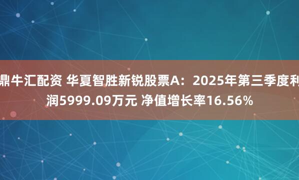 鼎牛汇配资 华夏智胜新锐股票A：2025年第三季度利润5999.09万元 净值增长率16.56%