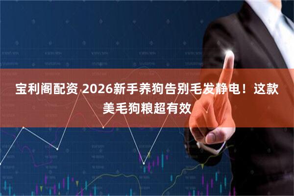 宝利阁配资 2026新手养狗告别毛发静电！这款美毛狗粮超有效