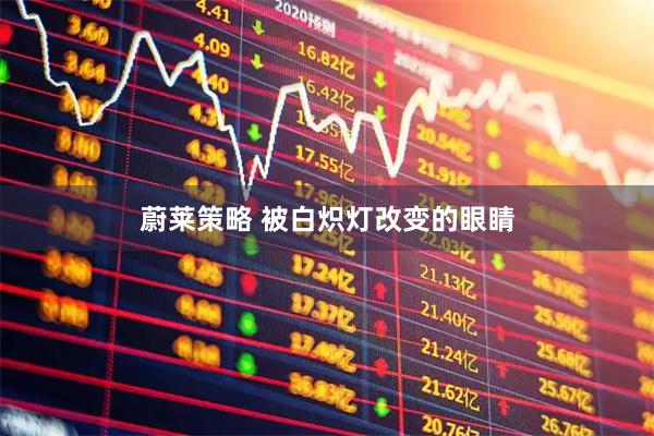 蔚莱策略 被白炽灯改变的眼睛